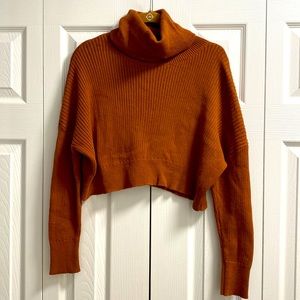 TCEC NWT Crop Rust Turtleneck Sweater